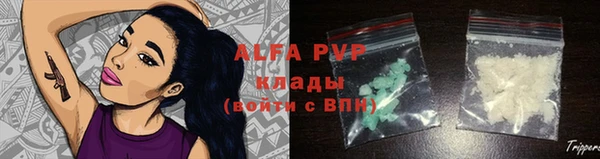амф Вяземский