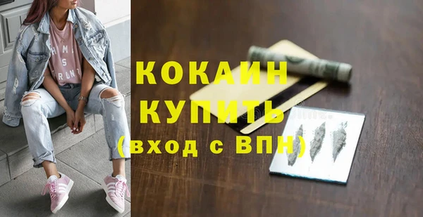 амф Вяземский