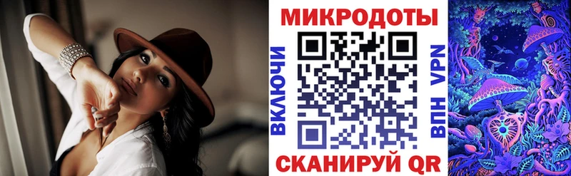 Псилоцибиновые грибы Psilocybe  Подпорожье 